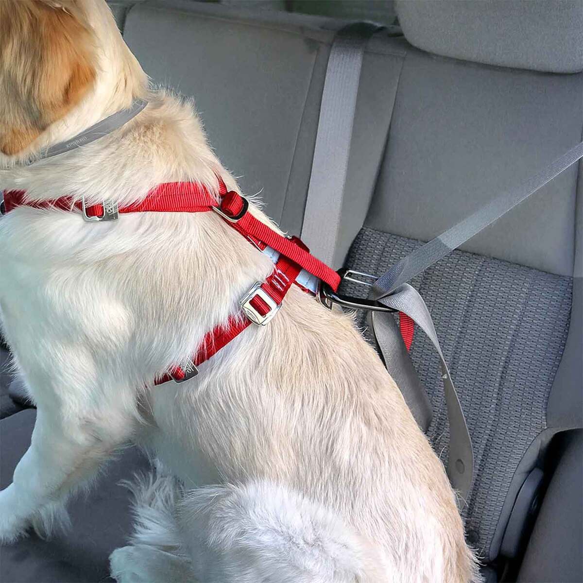 Kurgo Enhanced Strength Tru-Fit Dog Car Harness - Large - Red Large Kurgo Enhanced Strength Tru-Fit Dog Car Harness - Large - Red Large