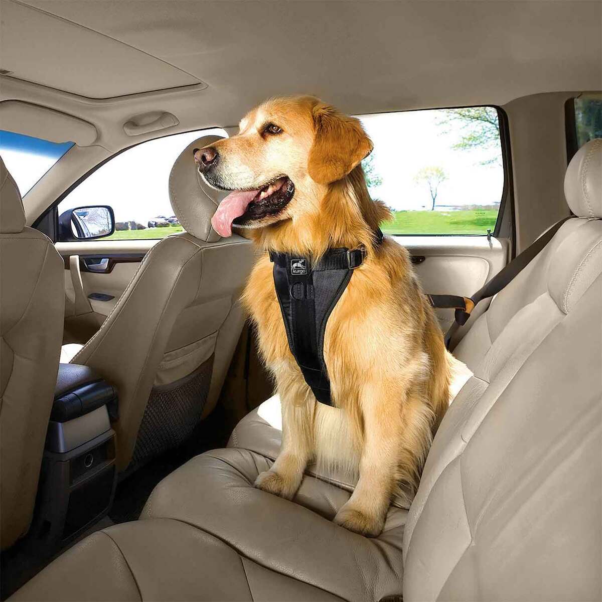 Kurgo Enhanced Strength Tru-Fit Dog Car Harness - X-Large - Black X-Large Kurgo Enhanced Strength Tru-Fit Dog Car Harness - X-Large - Black X-Large