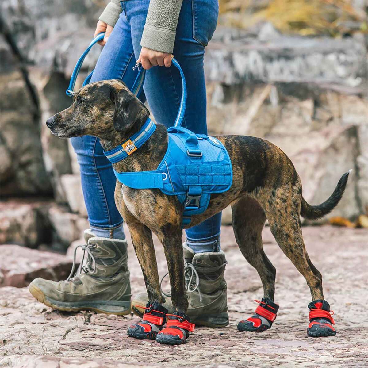 Kurgo RSG Dog Townie Harness - Medium - Blue Medium Kurgo RSG Dog Townie Harness - Medium - Blue Medium