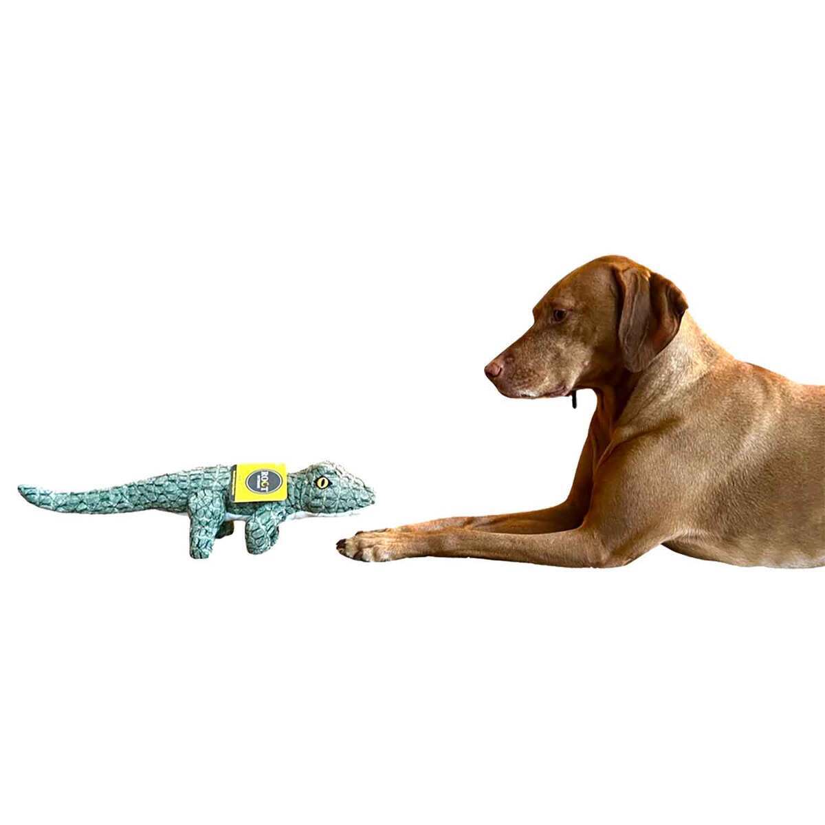 ROCT Outdoor Lazy Lizard Lined Dog Toy - Green ROCT Outdoor Lazy Lizard Lined Dog Toy - Green