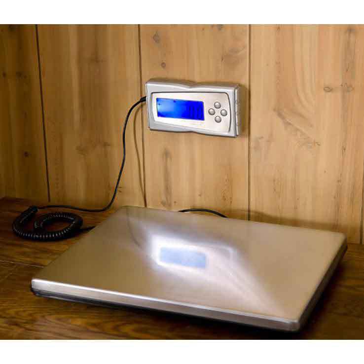 LEM Products 330 lb. Stainless Steel Digital Scale LEM Products 330 lb. Stainless Steel Digital Scale