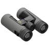 Leupold BX-2 Alpine HD Full Size Binocular - 10x42 - Gray