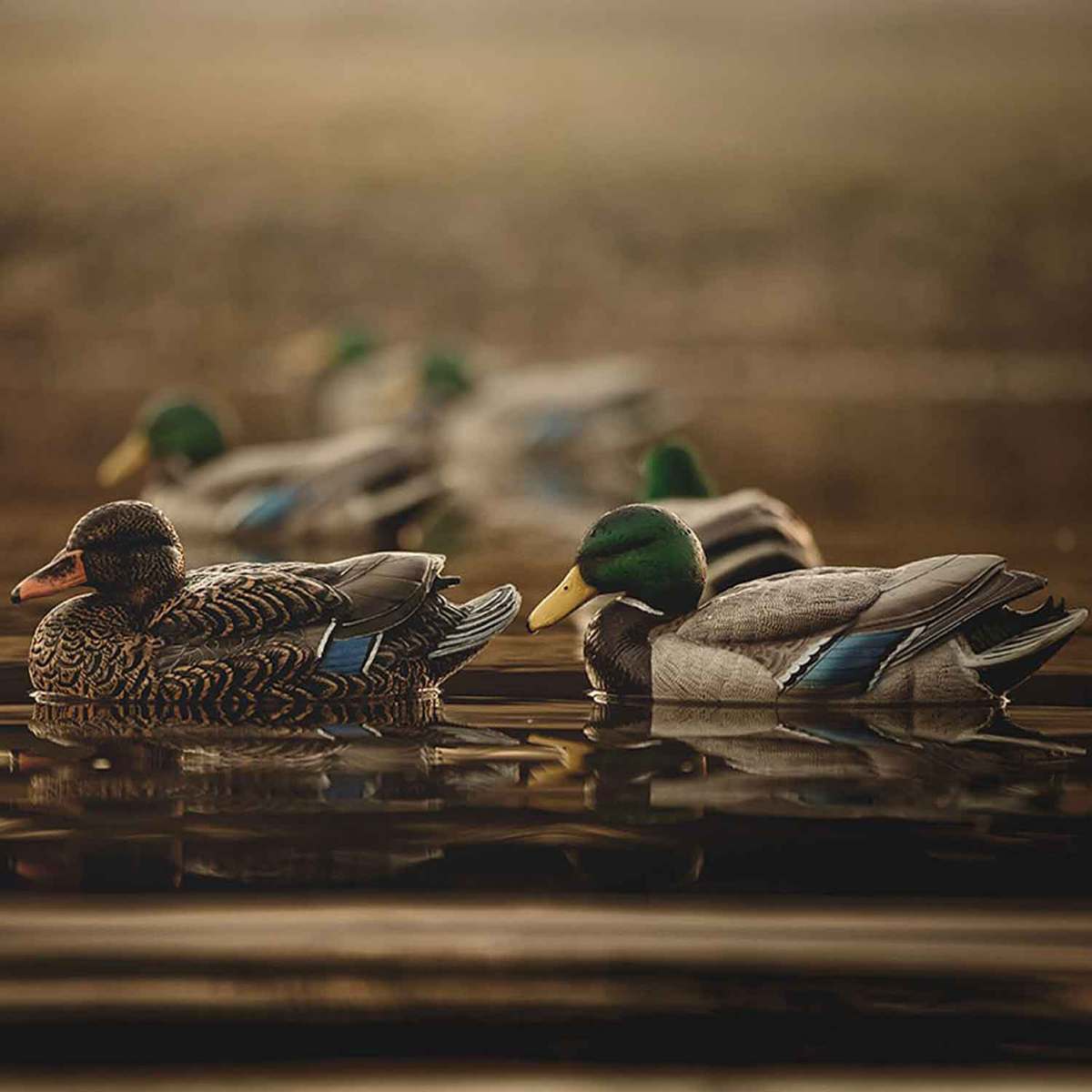 Heyday Flexfloat Mallard Duck Decoys - 6 Pack Heyday Flexfloat Mallard Duck Decoys - 6 Pack