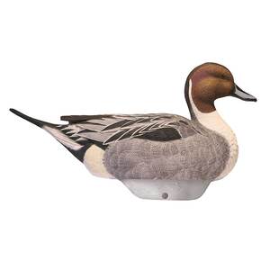 Heyday FlexFloat Pintail Decoys - 6 Pack