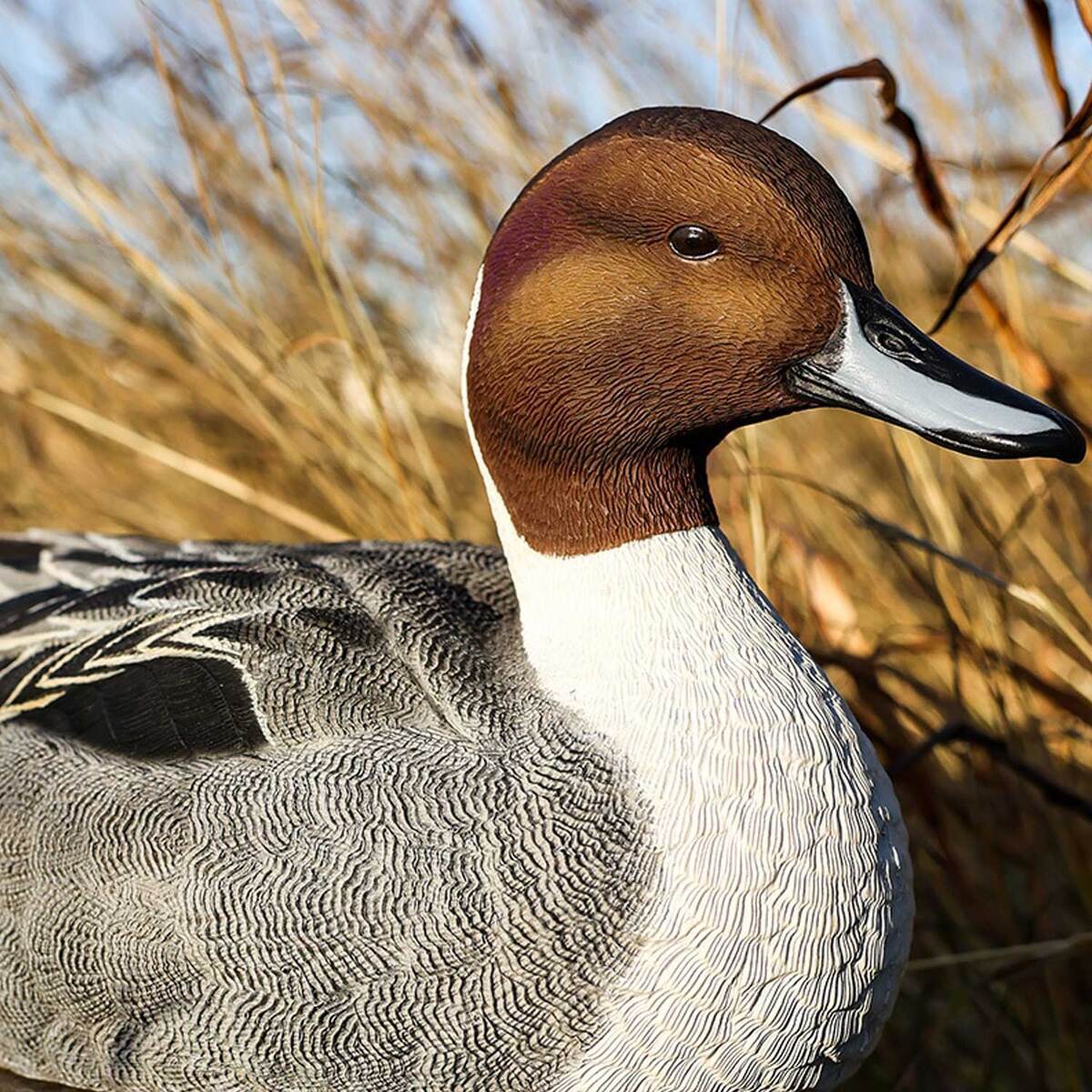 Lifetime Decoys FlexFloat Pintail Decoys - 6 Pack Lifetime Decoys FlexFloat Pintail Decoys - 6 Pack