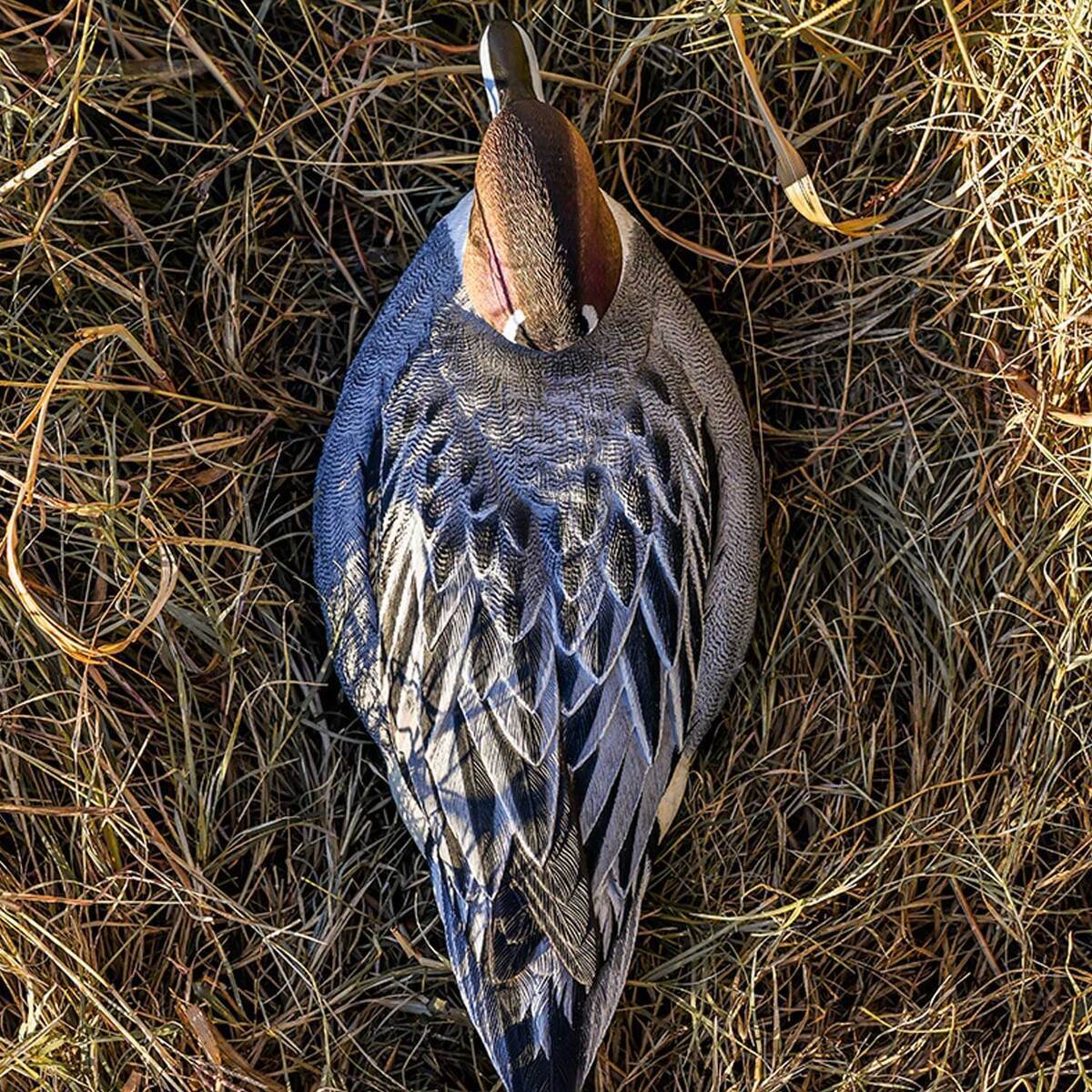 Lifetime Decoys FlexFloat Pintail Decoys - 6 Pack Lifetime Decoys FlexFloat Pintail Decoys - 6 Pack