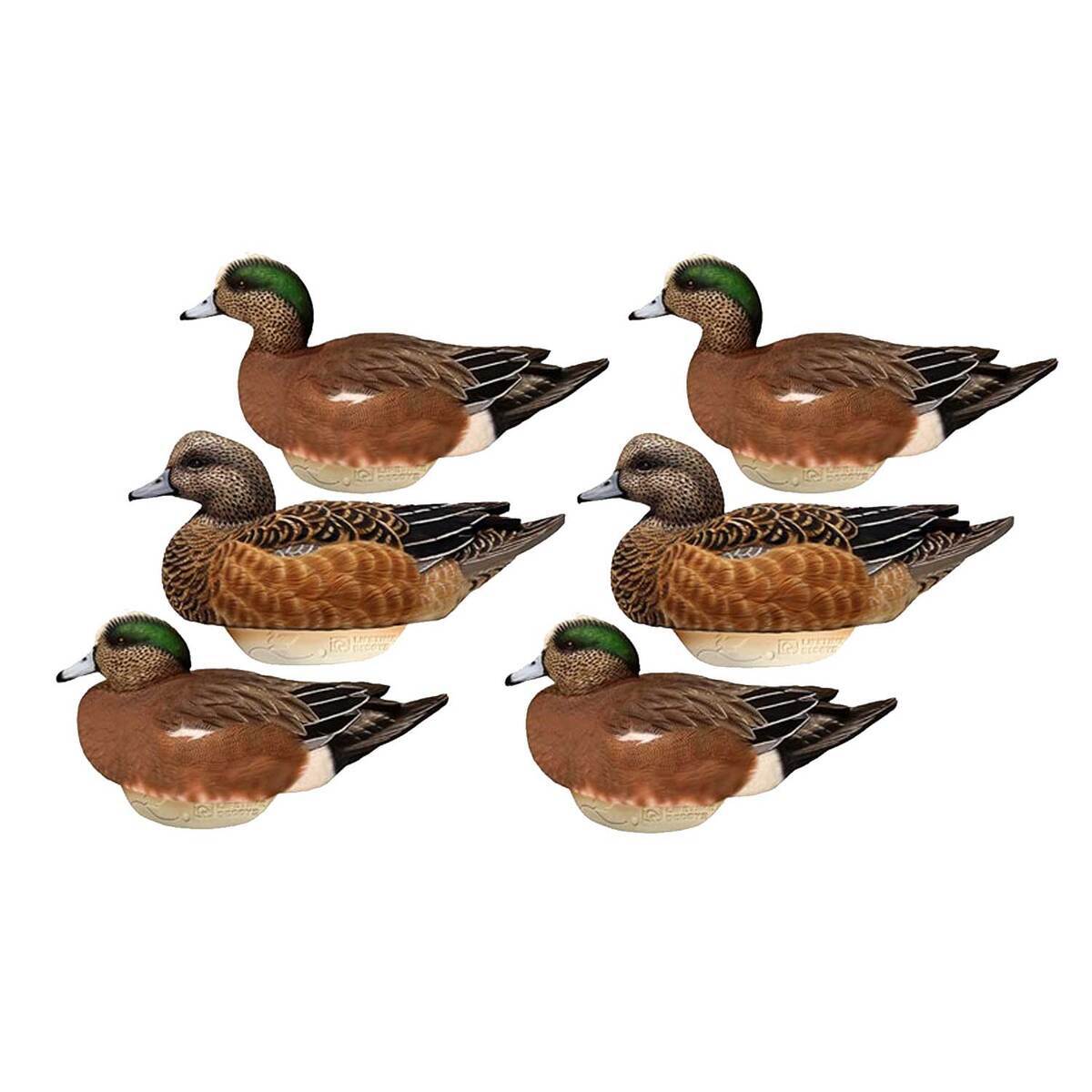 Lifetime Decoys FlexFloat Wigeon Duck Decoy - 6 Pack Lifetime Decoys FlexFloat Wigeon Duck Decoy - 6 Pack