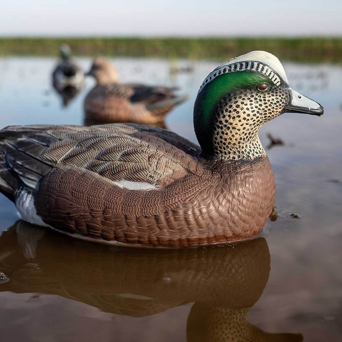 Lifetime Decoys FlexFloat Wigeon Duck Decoy - 6 Pack Lifetime Decoys FlexFloat Wigeon Duck Decoy - 6 Pack