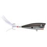 Lobina Lures Rio Rico Popper Topwater Bait - Tennessee Shad, 7/16oz, 2-7/8in - Tennessee Shad 4