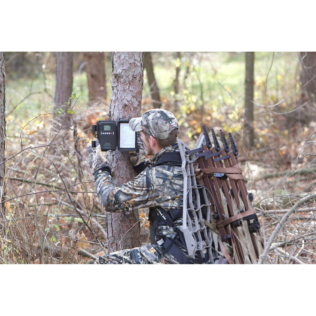 Lone Wolf 4 Piece Climbing Sticks - Orange/Black 32in Lone Wolf 4 Piece Climbing Sticks - Orange/Black 32in