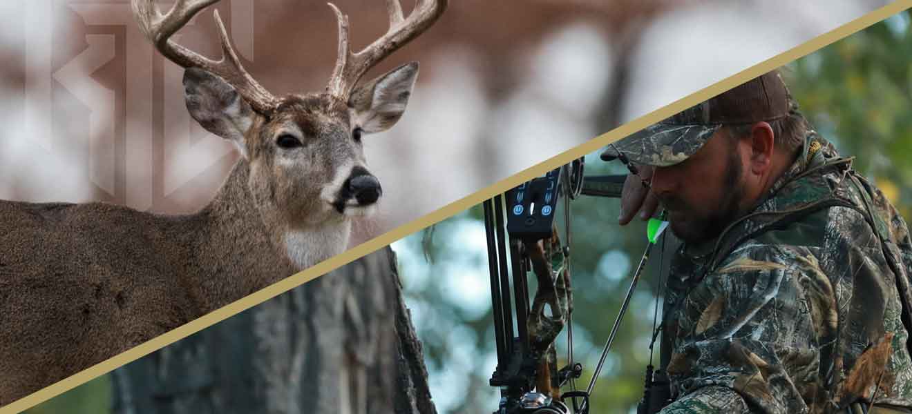 Win A Whitetail Hunt