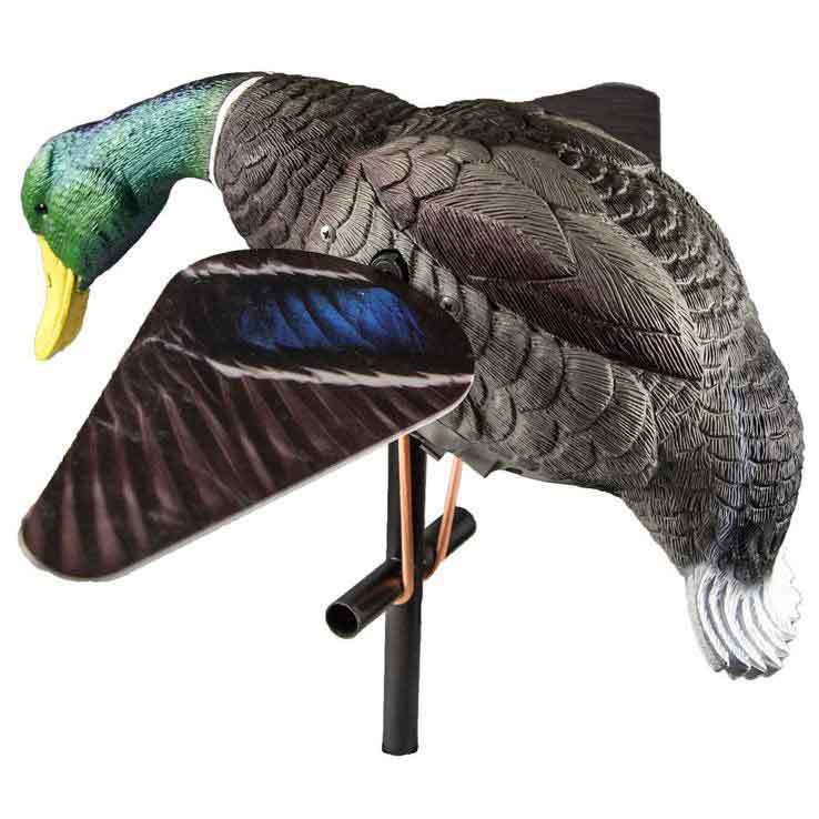 Lucky Duck Lucky HD Duck Decoy Sportsman s Warehouse lucky-duck-2014-avaxhome