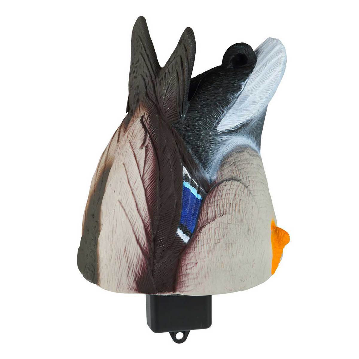 Lucky Duck Quiver Duck Butt HD Lucky Duck Quiver Duck Butt HD