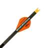 Lumenok Lumen-Arrow Capture 20in Carbon Crossbow Bolt - 3 Pack - Black