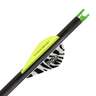 Lumenok Lumen-Arrow Capture 20in Carbon Crossbow Bolts - 3 Pack - Black