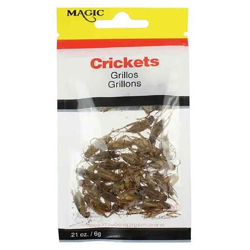 Magic Crickets Preserved Bait - Natural 1/5oz