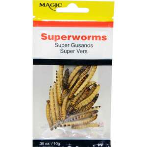 Magic Products Preserved Super worms