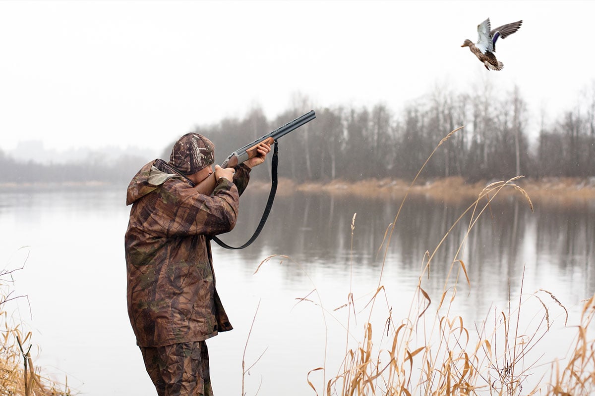 Man shooting a bird in a field by a lake