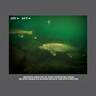 Marcum LX-9L Lithium Equipped Sonar/Underwater Camera System Fish Finder