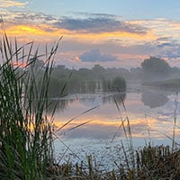 Marsh Region