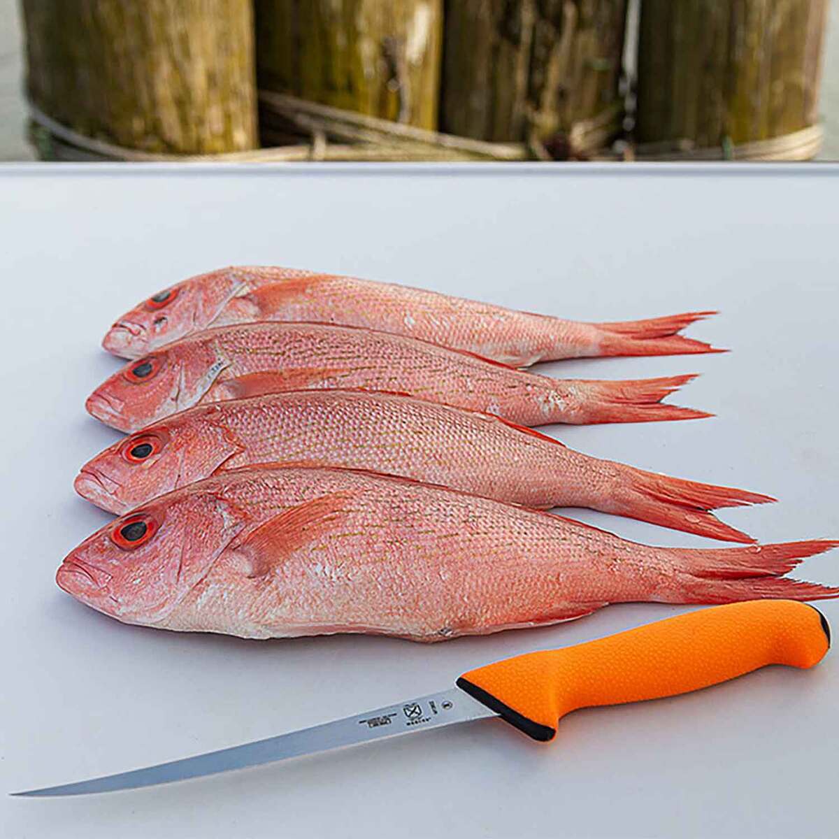 Mercer Sport Narrow Fillet Knife - Orange, 7in - Orange Mercer Sport Narrow Fillet Knife - Orange, 7in - Orange