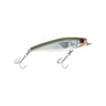 Bayou Green Back, White Belly, Silver Luminescence