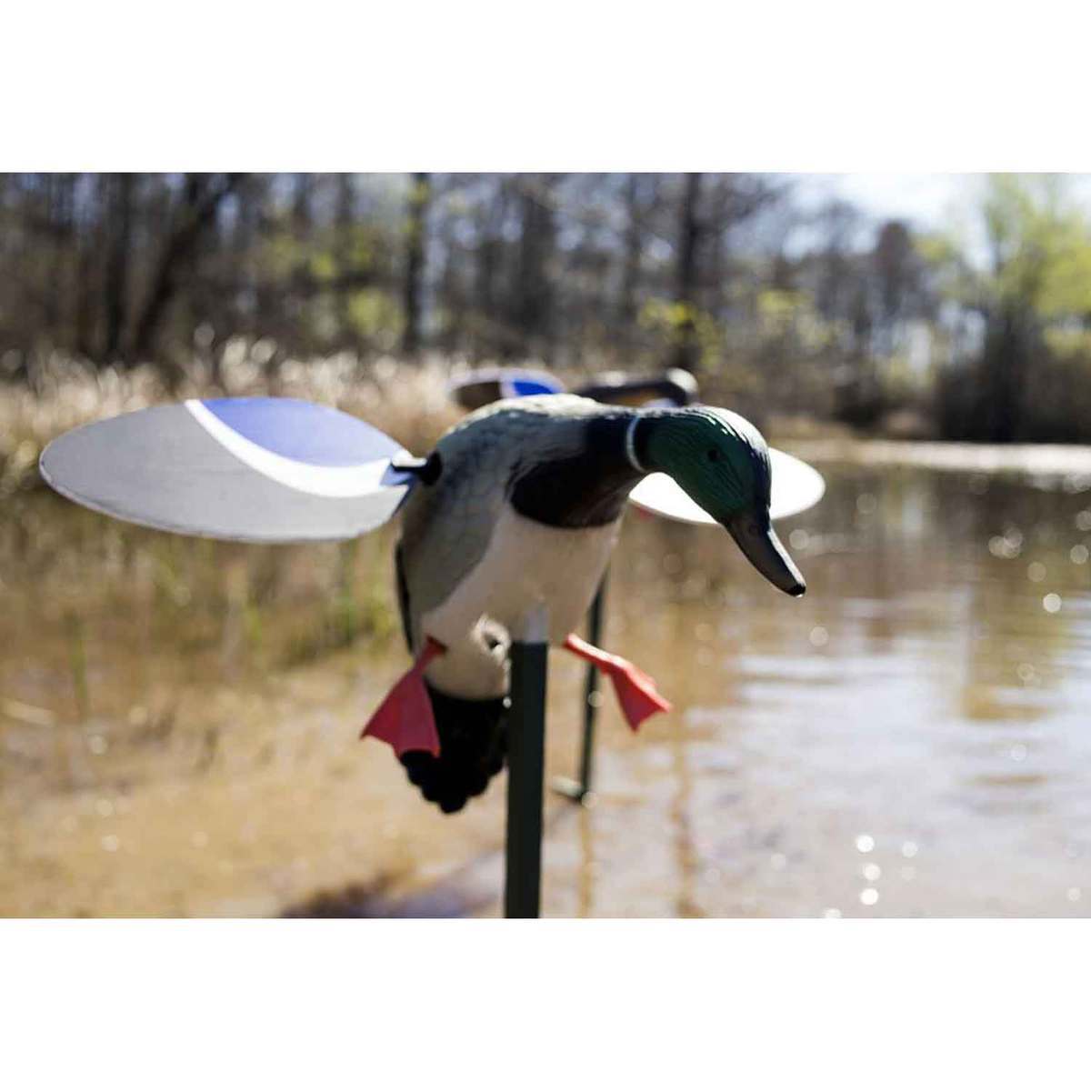 Mojo Baby Mallard Motion Duck Decoy Mojo Baby Mallard Motion Duck Decoy
