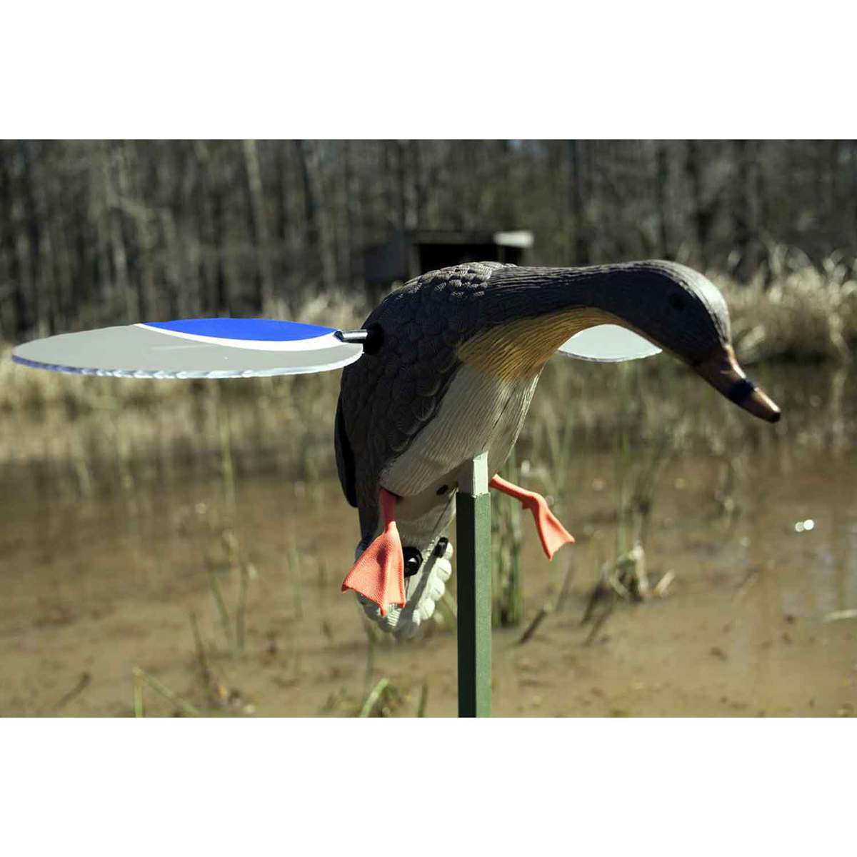 Mojo Baby Mallard Motion Duck Decoy Mojo Baby Mallard Motion Duck Decoy