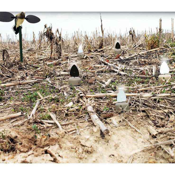 Mojo Dove A Flickers Decoys 4 Pack Mojo Dove A Flickers Decoys 4 Pack