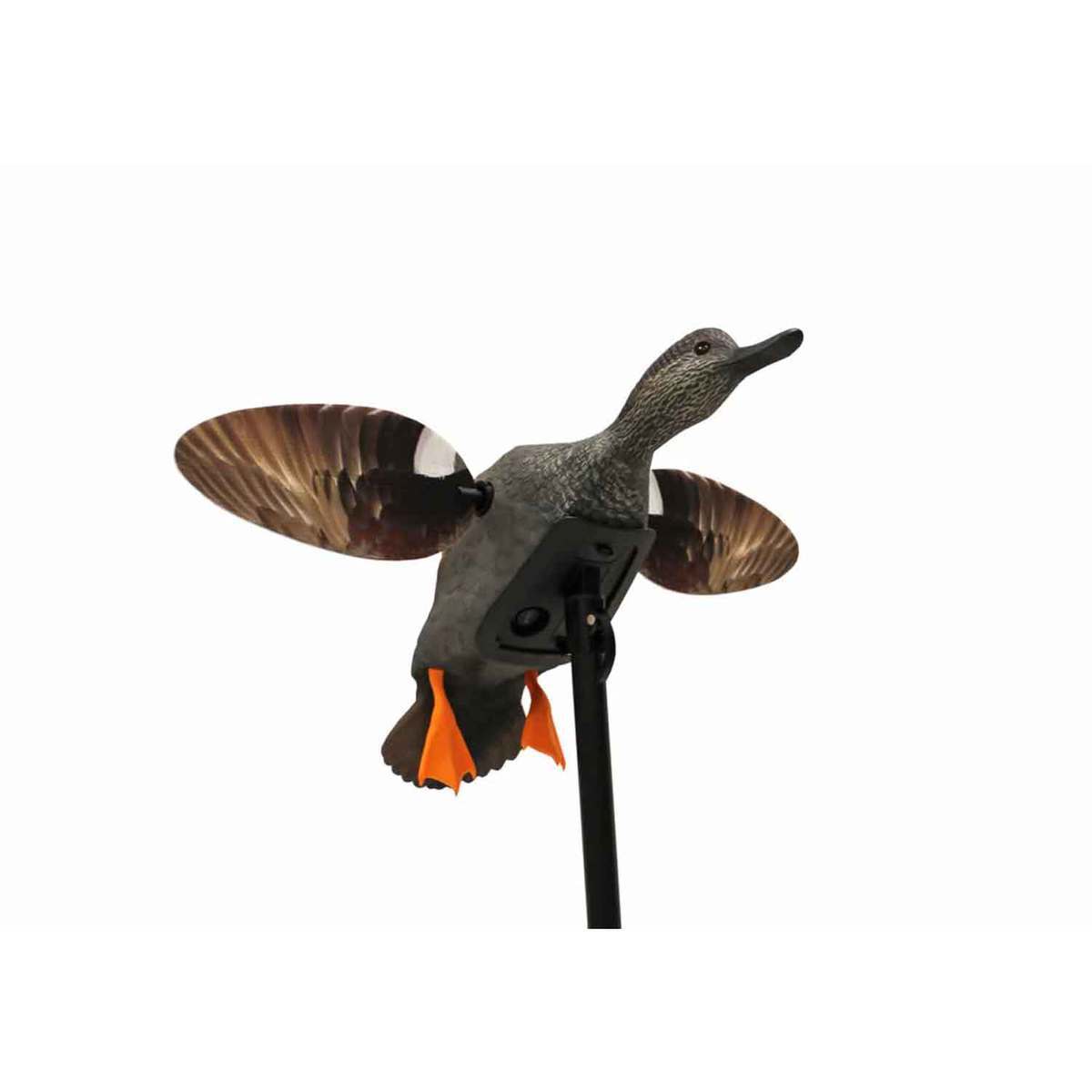 Mojo Elite Series Gadwall Mallard Duck Decoy Mojo Elite Series Gadwall Mallard Duck Decoy