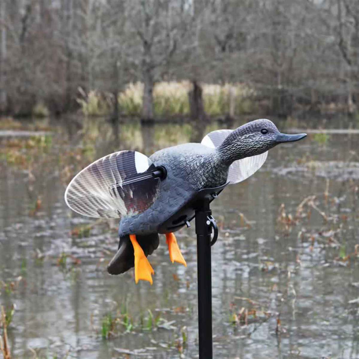 Mojo Elite Series Gadwall Mallard Duck Decoy Mojo Elite Series Gadwall Mallard Duck Decoy