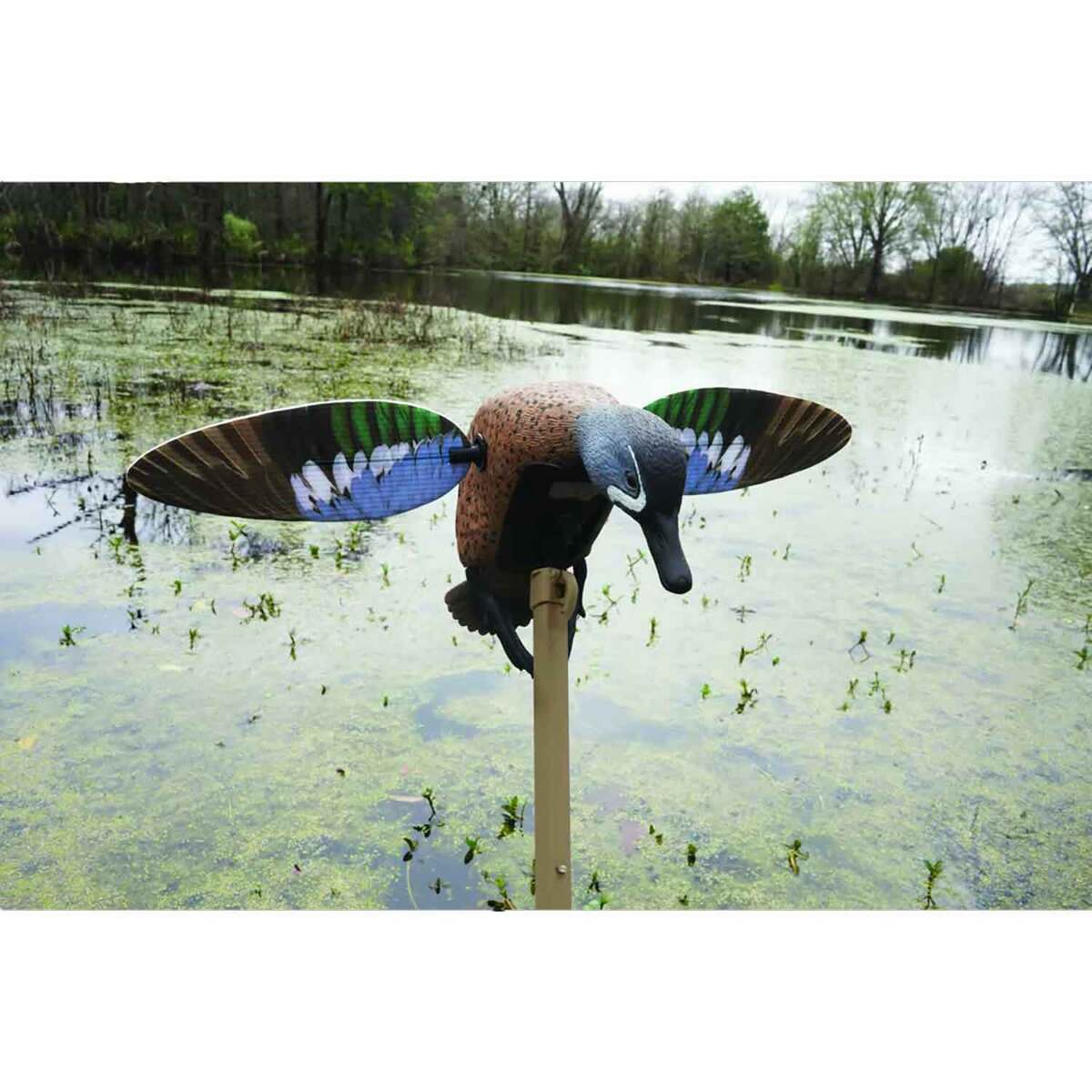 Mojo Elite Series Remote Ready Teal Duck Decoy Mojo Elite Series Remote Ready Teal Duck Decoy