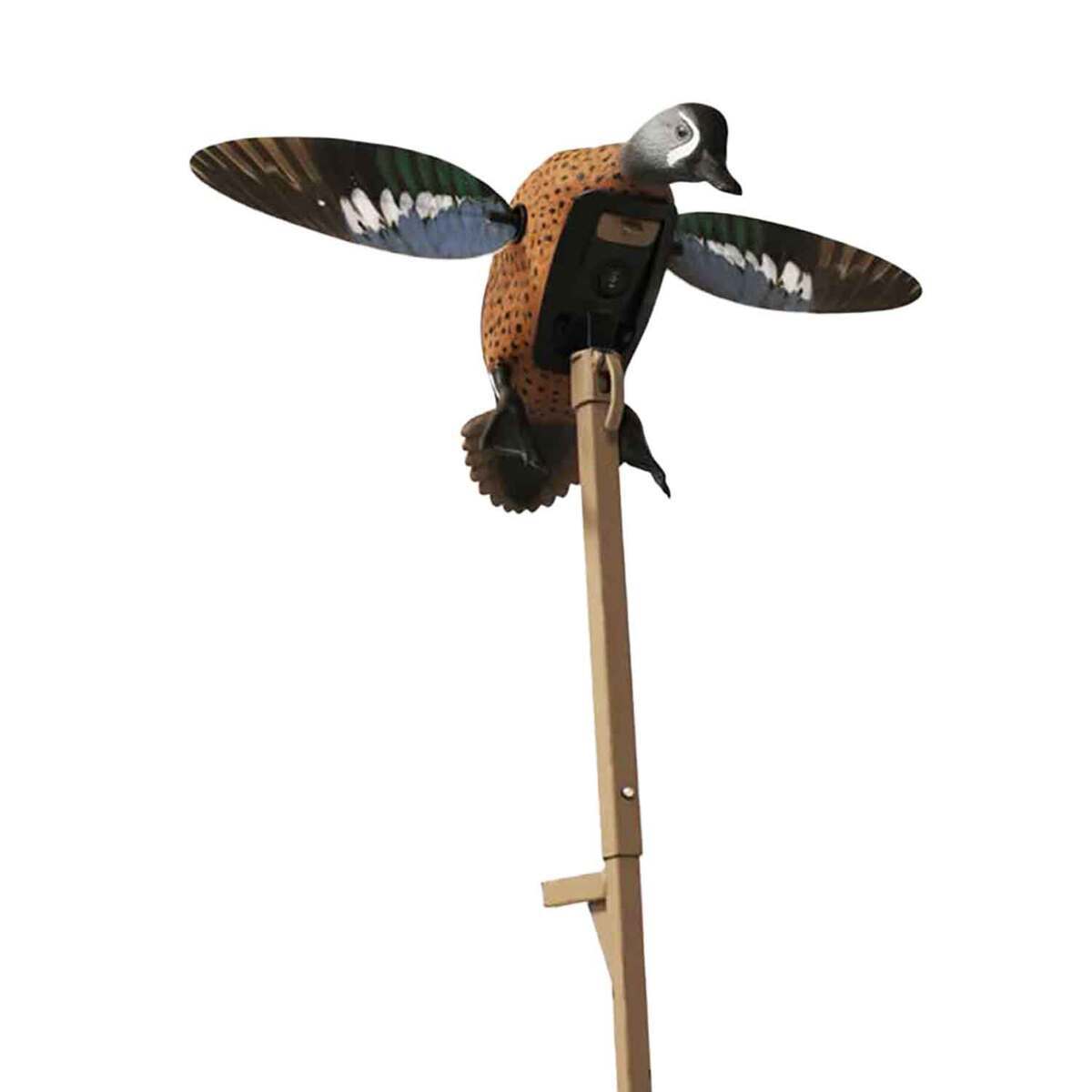 Mojo Elite Series Remote Ready Teal Duck Decoy Mojo Elite Series Remote Ready Teal Duck Decoy