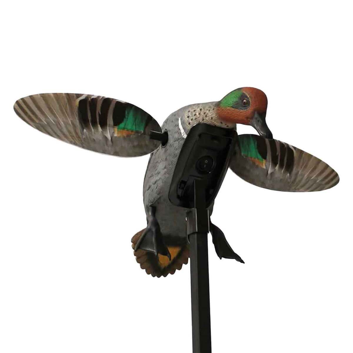 Mojo Elite Series Remote Ready Teal Duck Decoy Mojo Elite Series Remote Ready Teal Duck Decoy