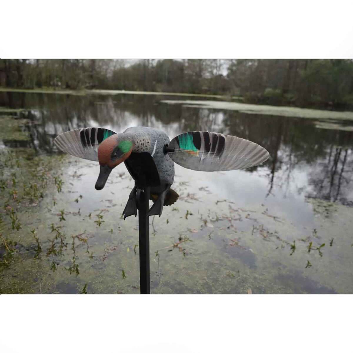 Mojo Elite Series Remote Ready Teal Duck Decoy Mojo Elite Series Remote Ready Teal Duck Decoy