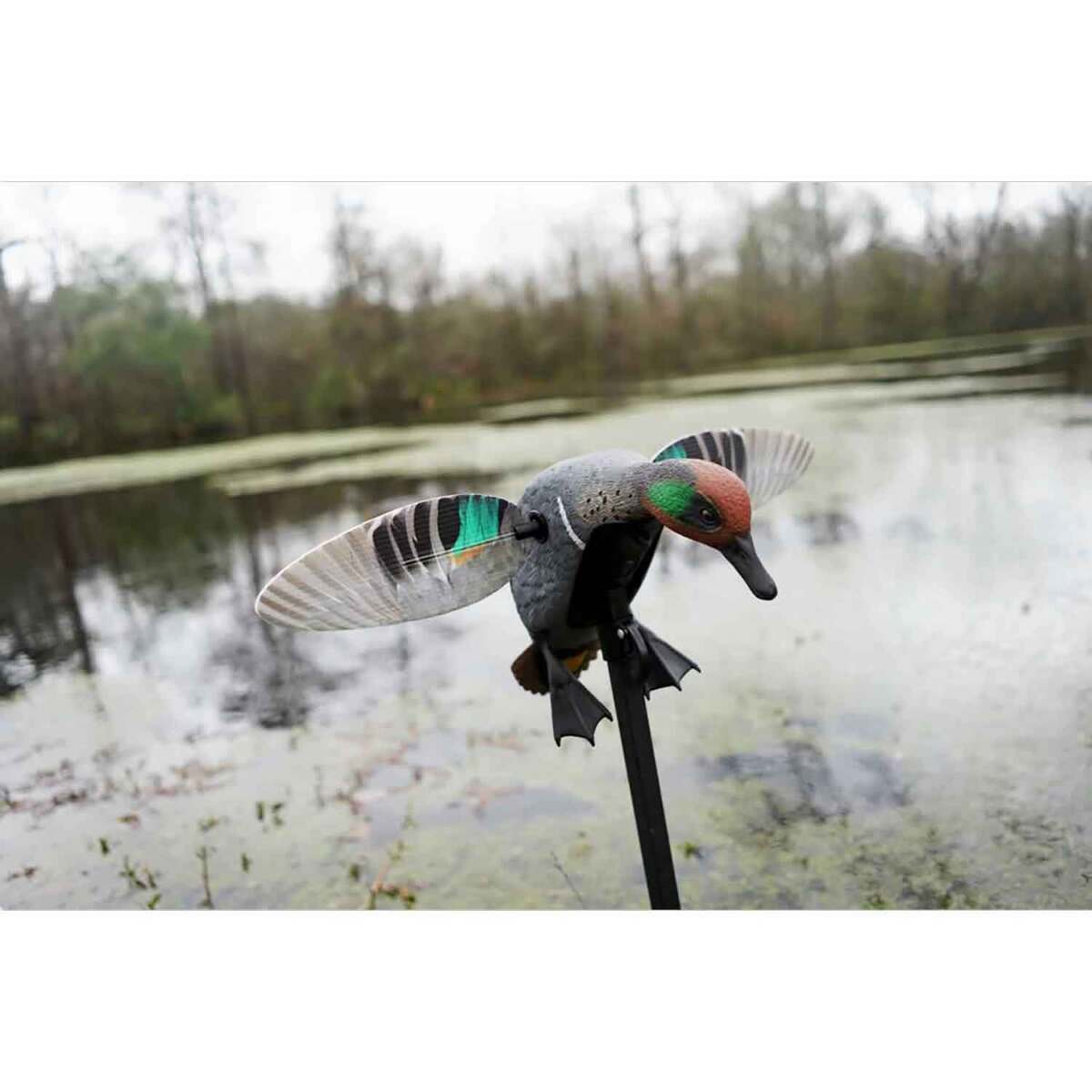 Mojo Elite Series Remote Ready Teal Duck Decoy Mojo Elite Series Remote Ready Teal Duck Decoy