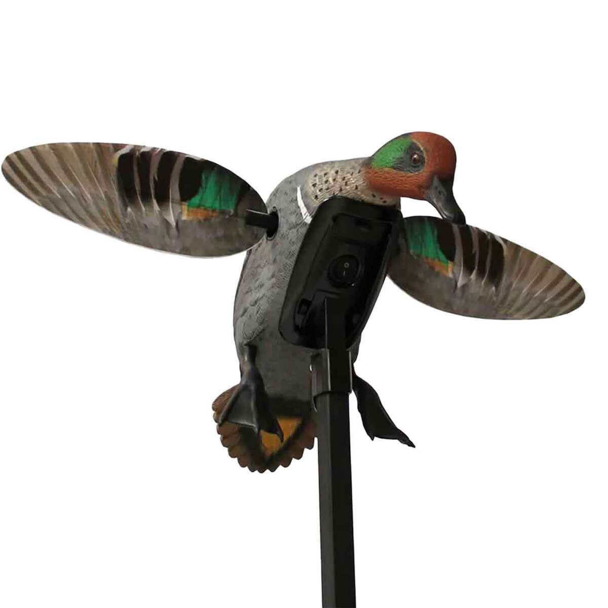 Mojo Elite Series Remote Ready Teal Duck Decoy Mojo Elite Series Remote Ready Teal Duck Decoy