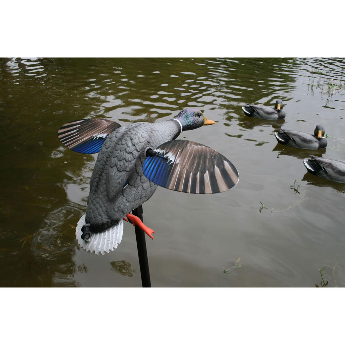 MOJO Mallard Elite Series King Mallard Spinning Wing Decoy MOJO Mallard Elite Series King Mallard Spinning Wing Decoy