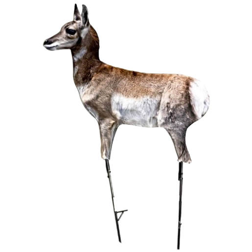Montana Decoy Antelope Fawn Predator Decoy