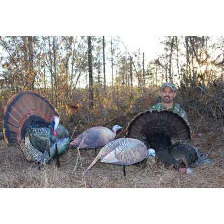 Montana Decoy Dinner Belle Feeding Hen Turkey Decoy Montana Decoy Dinner Belle Feeding Hen Turkey Decoy