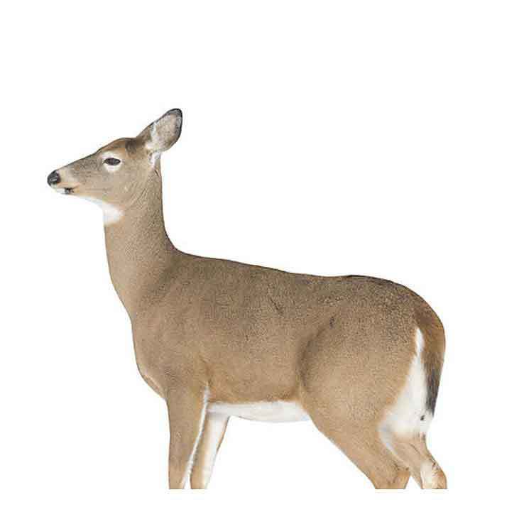 Montana Decoy Dreamy Whitetail Doe Montana Decoy Dreamy Whitetail Doe