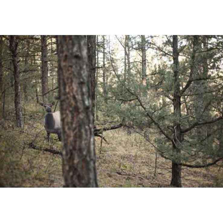 Montana Decoy Eichler Elk Big Game Decoy Montana Decoy Eichler Elk Big Game Decoy
