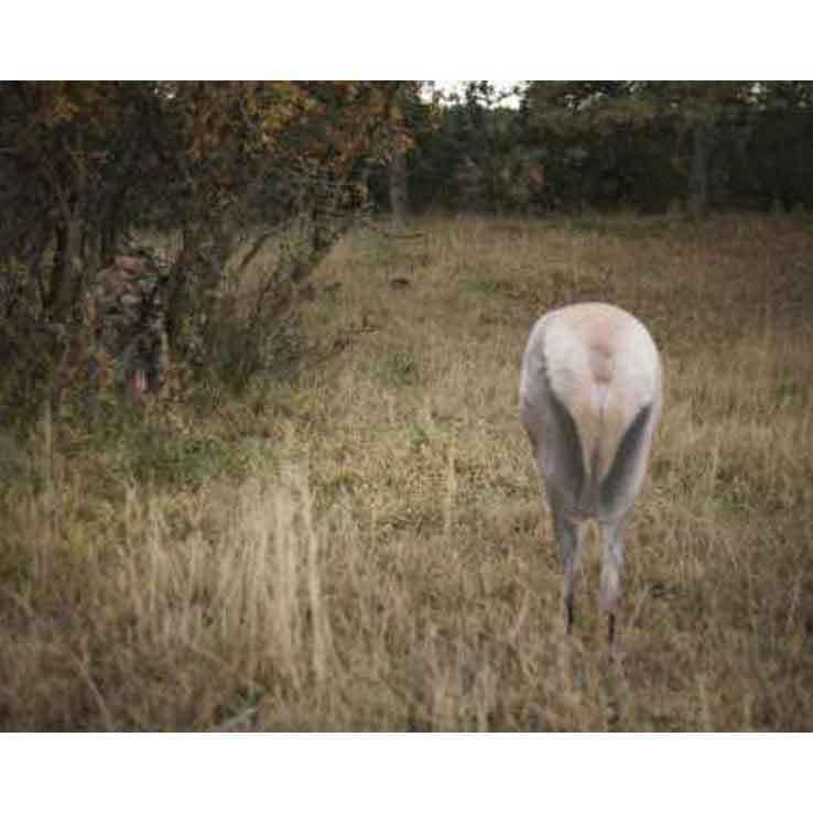 Montana Decoy Elk Rump Big Game Decoy Montana Decoy Elk Rump Big Game Decoy
