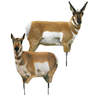 Montana Decoy New Buck & Doe Combo Antelope Decoy - 2 Pack