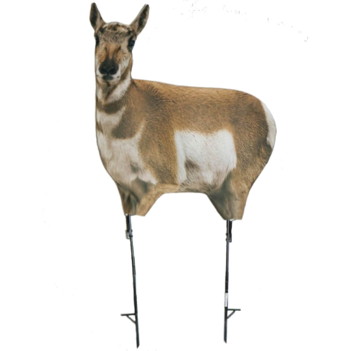 Montana Decoy New Buck & Doe Combo Antelope Decoy - 2 Pack Montana Decoy New Buck & Doe Combo Antelope Decoy - 2 Pack