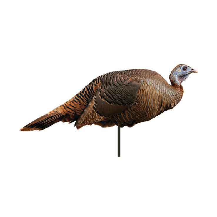 Montana Decoy Spring Fling Breeder Hen Turkey Decoy Montana Decoy Spring Fling Breeder Hen Turkey Decoy