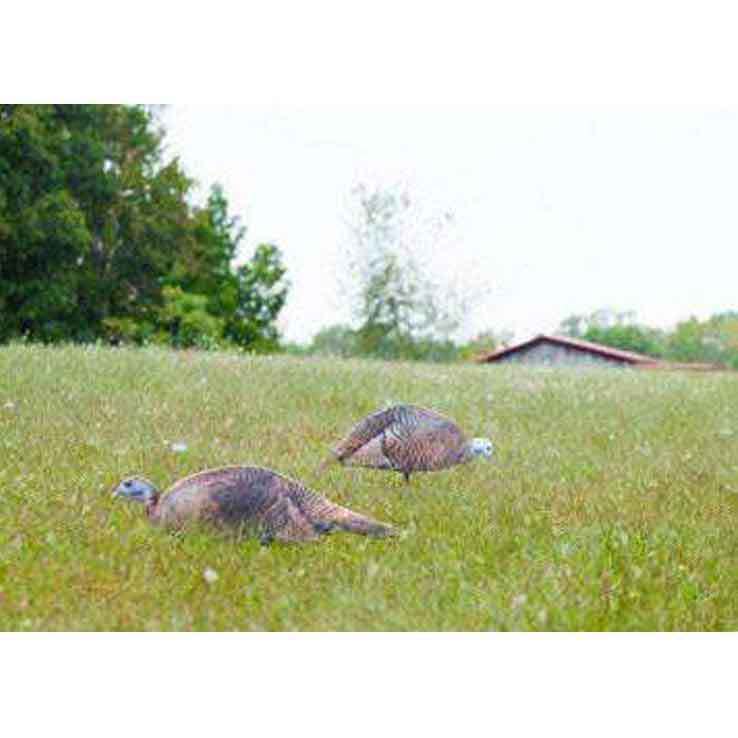 Montana Decoy Spring Fling Breeder Hen Turkey Decoy Montana Decoy Spring Fling Breeder Hen Turkey Decoy