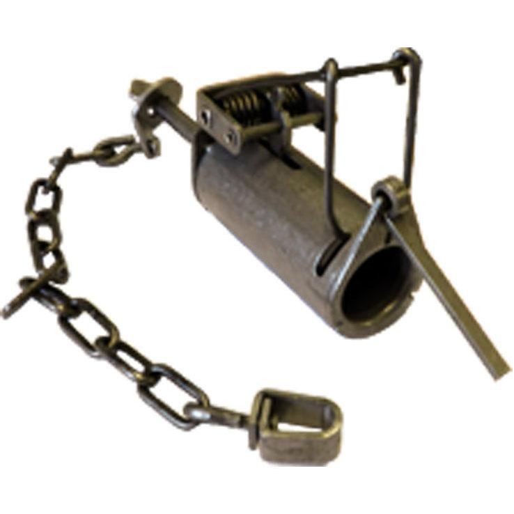 Duke DP Coon Trap Sportsman's Warehouse