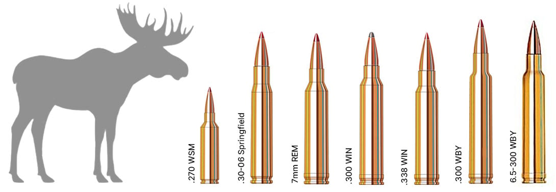 Moose Hunting Calibers