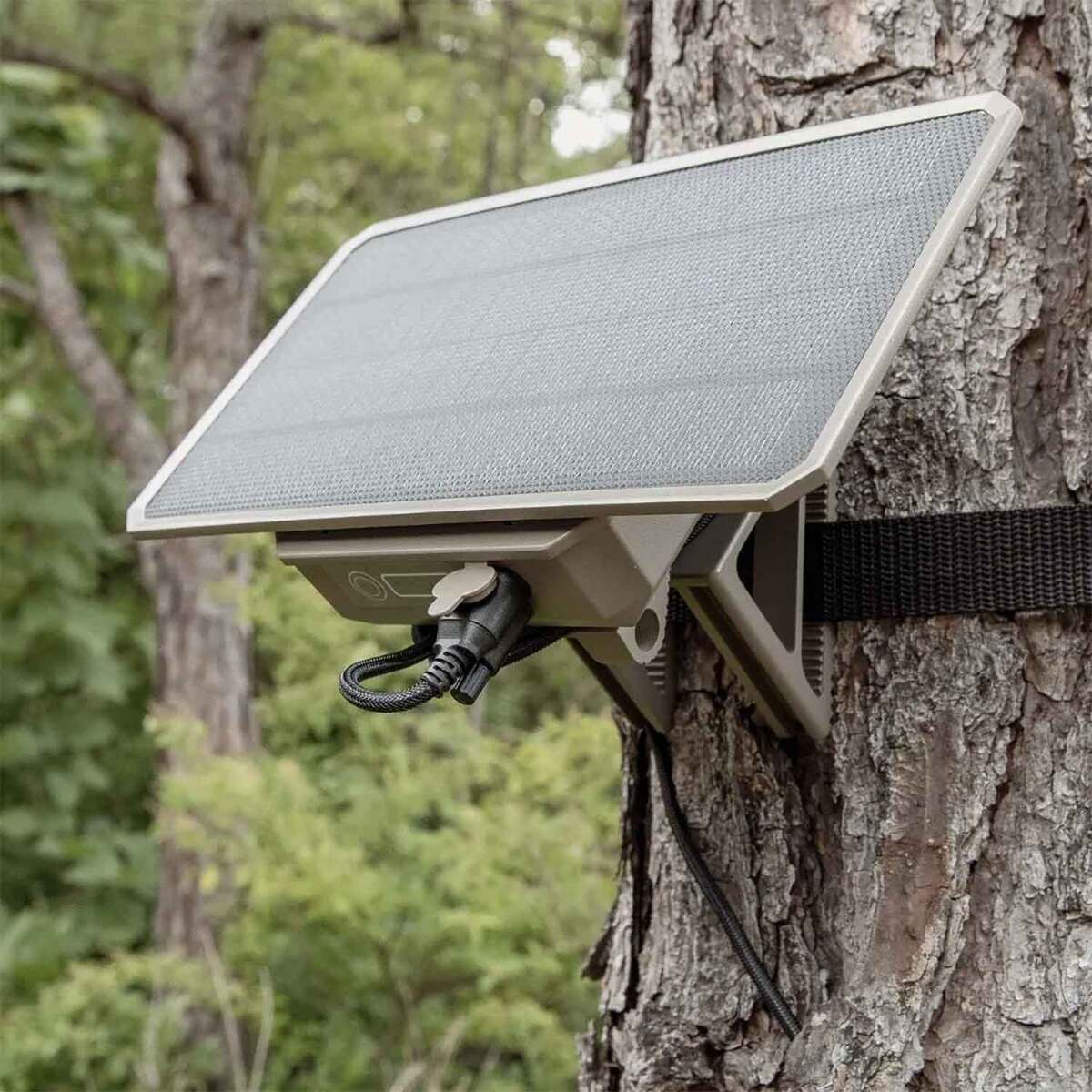 Moultrie 3.4W Solar Power Pack | Sportsman's Warehouse